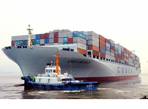 Trans Logistics Qatar