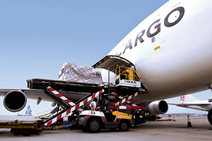Trans Logistics Qatar